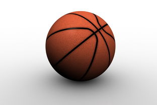 中国篮球联赛中场中断与球员体力调整效率研究，篮球中场暂停